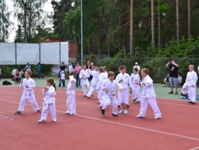 den-deti-zruc-2012-61