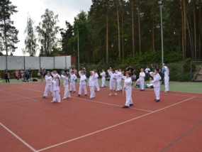 den-deti-zruc-2012-63