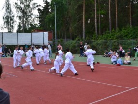 den-deti-zruc-2012-69