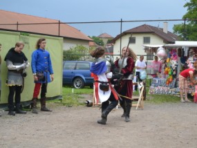 den-deti-zruc-2013-41