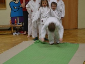 karate-v-ddm-2013-1