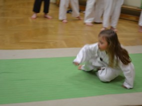 karate-v-ddm-2013-11