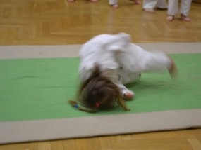 karate-v-ddm-2013-12