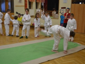 karate-v-ddm-2013-14