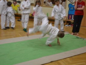 karate-v-ddm-2013-16