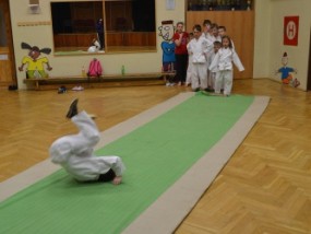 karate-v-ddm-2013-2