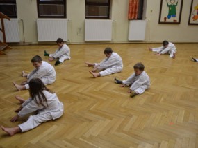 karate-v-ddm-2013-7