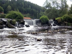 vodacky-tabor-berounka-2017-109